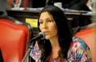 Buenos Aires - Diputados convirti en ley las Fiscalas Especializadas en Violencia Institucional