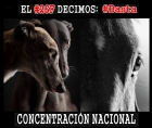 Concentracin Nacional por los derechos de los animales