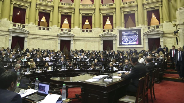  Cmo fue la votacin de la reforma previsional en Diputados