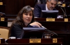  Participacin de Gradaschi en nueva ley de procedimiento de adopcin 