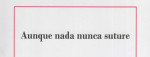Aunque nada nunca suture, de Diego Filloy. Por Luis Ben�tez