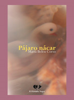 P�jaro N�car, de Mar�a Bel�n Corso. Por Luis Ben�tez