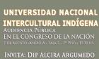  Audiencia Pblica en el Congreso:Por una Universidad Nacional Intercultural Indgena 