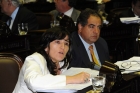  Ines Brizuela y Doria -Proyecto para regular publicidad en juegos de azar para prevenir y asistir la Ludopata