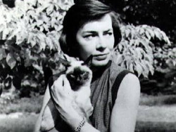 Lo que trajo el gato de Patricia Highsmith