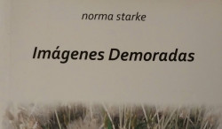 IM�GENES DEMORADAS DE NORMA STARKE: POEMARIO DE FUERTE IMPLOSI�N EXISTENCIAL. Por Sebasti�n Jorgi