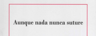 Aunque nada nunca suture, de Diego Filloy. Por Luis Ben�tez